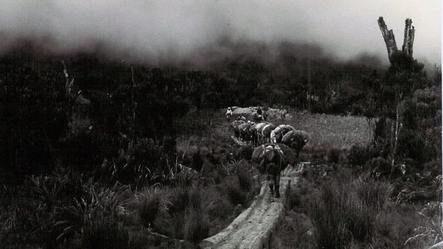 Combatientes de las FARC en los inicios del movimiento.