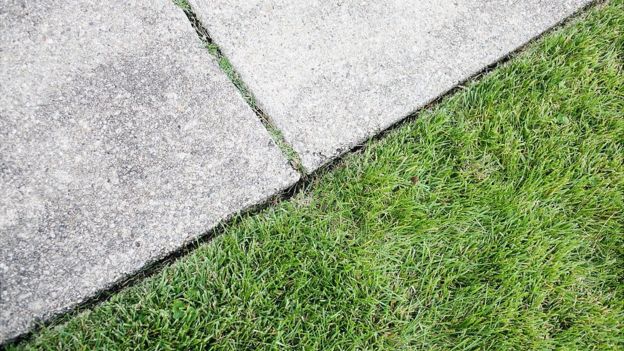 Camino de cemento al lado de prado.