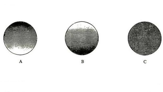 Círculos con distintos grados de oscuro para ilustrar el efecto