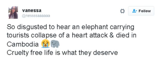 Tweet: So disgusted to hear an elephant carrying tourists collapse and die of a heart attack in Cambodia [sadface emoji] [elephant emoji] Cruelty free life is what they deserve
