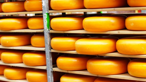 Gouda cheese in the Netherlands