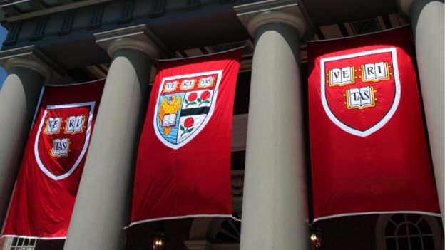 Harvard flags