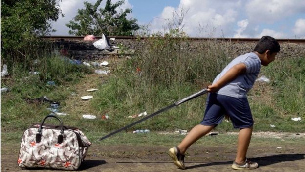 A migrant boy tows his luggage at the border between Serbia and Hungary, 13 September