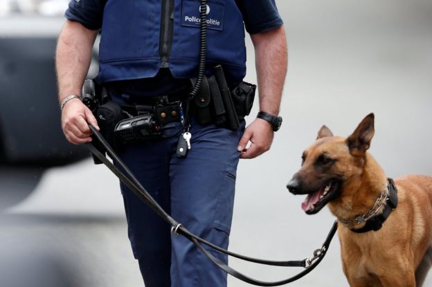 A police officer with a dog in Brussels, 17 June