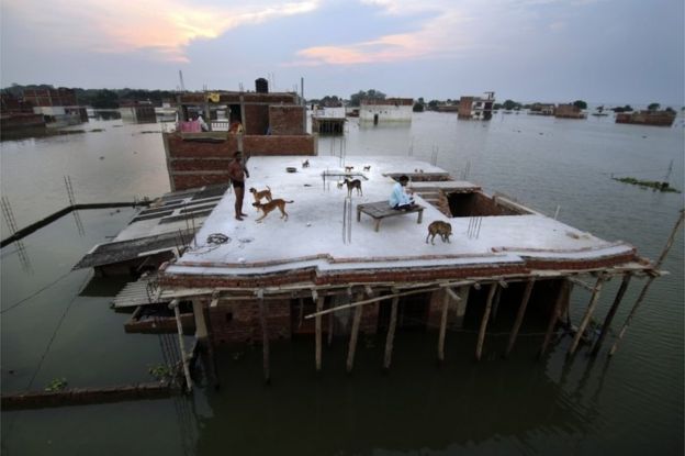 In this Thursday, Aug. 25, 2016 photo, a flood affected man, left, who rescued four dogs and their four puppies plays on the roof of their submerged house under construction in Allahabad, India.