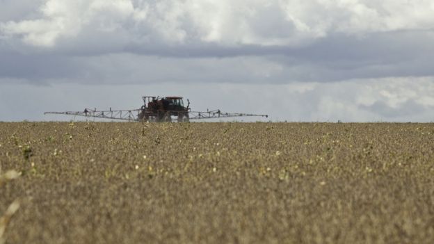 Aplicação de pesticida em plantação de soja no Mato Grosso do Sul
