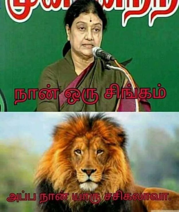 சமூக ஊடகங்களில் வலம் வரும் மீம்கள்