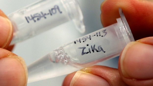 Muestras del virus del zika