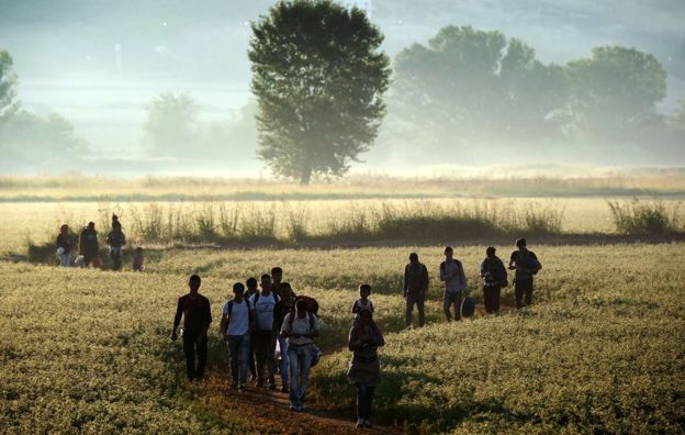 Migrants wandering through Greek field