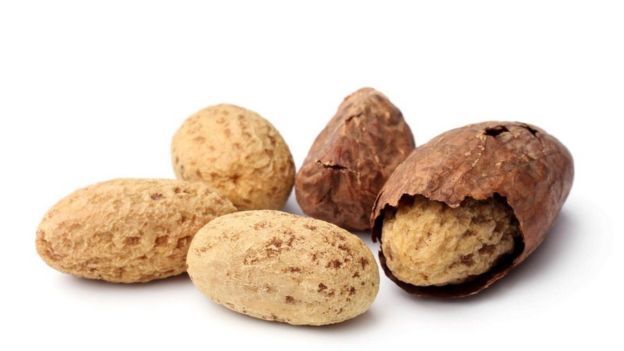 Kola