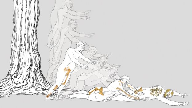 Ilustración que recrea la posible secuencia de la caída de Lucy.