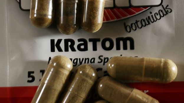 กระท่อม. Kratom