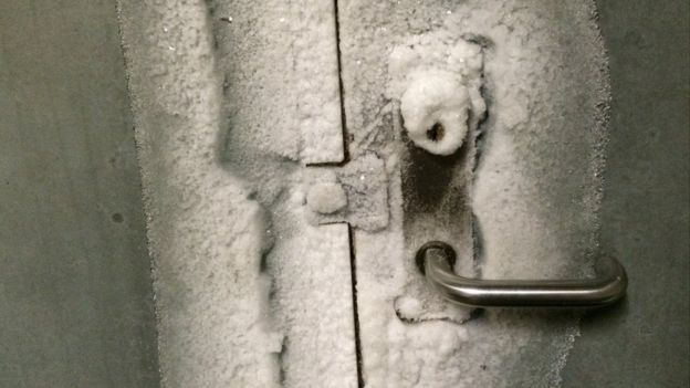 _86369377_img_3948.jpg?width=500