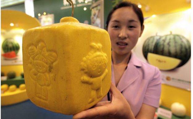 A woman displays a square-shaped yellow watermelon engraved with Beijing 2008 Olympic mascots in 2006 during the annual Daxing watermelon festival