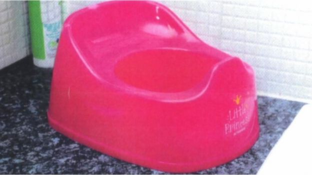 Pink potty