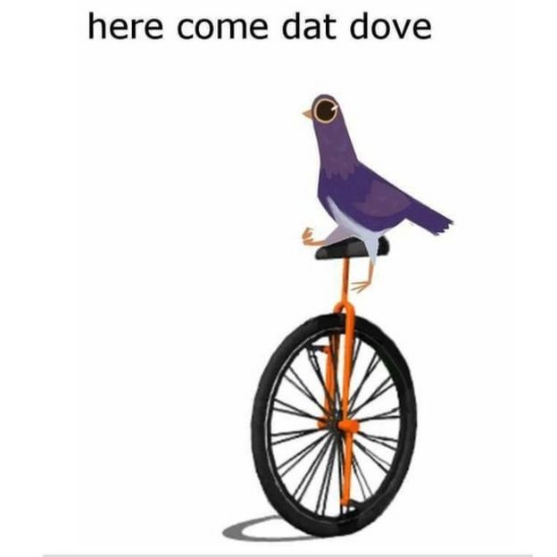 Meme de Trash Dove en un monociclo