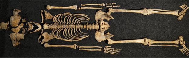 The Lant Street Teenager