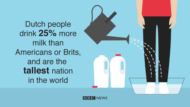 Dutch people drink 25% more milk than Americans or Brits and are the tallest nation on Earth