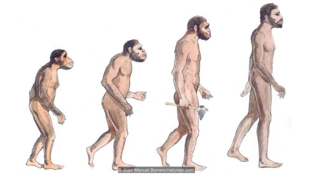 İnsana benzer homininler milyonlarca yıl önce iki ayağı üzerine kalktı.