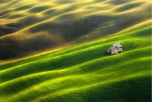 «Flock ...» από τον Krzysztof Browko / Photocrowd.com