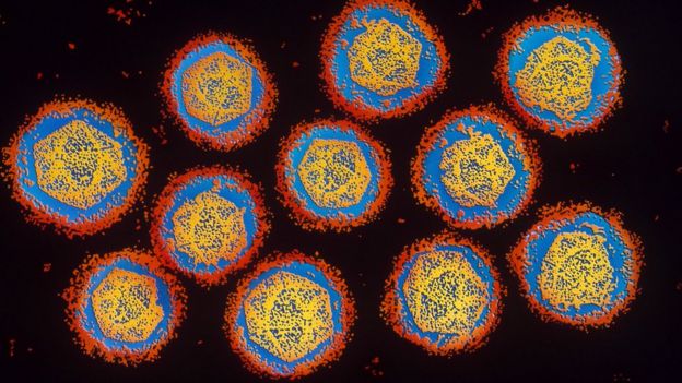 Dengue virus particles