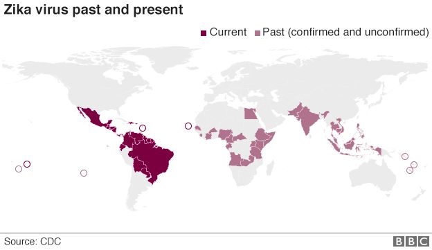 http://ichef-1.bbci.co.uk/news/624/cpsprodpb/15B3F/production/_88059888_zika_virus_past_present_624_01022016.png
