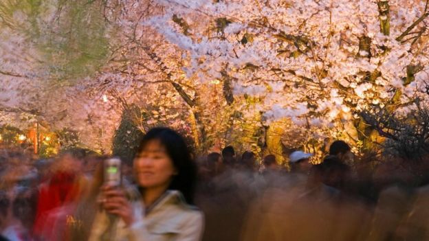 Una mujer en una foto borrosa, toma un selfie de un cerezo en Japón