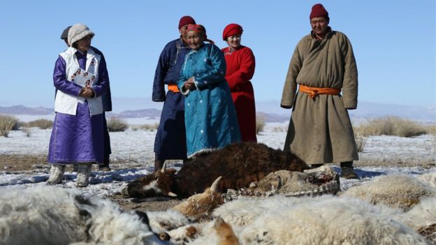 People from herder community standing next to Red Cross staff and animal corpses