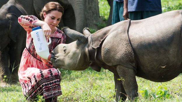 Kate Middleton com bebê rinoceronte