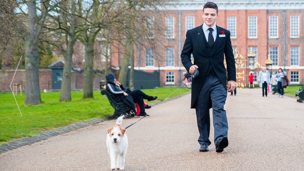 A member of staff at the Milestone Hotel walking a guest's dog