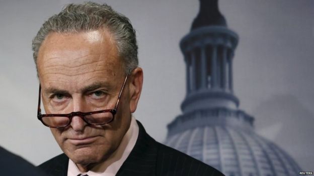 Chuck Schumer in Washington (21 May 2015)