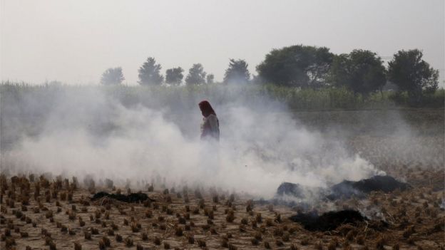 A farmer walks through smoke caused by farming waste set on fire at Palwal, in the state of Haryana, south of New Delhi, India.