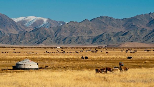 moğolistan stepte yurt ve hayvanlar