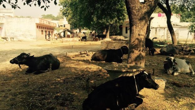 மோகன்லால்கன்ஜ் தொகுதியில் ஒரு பகுதி