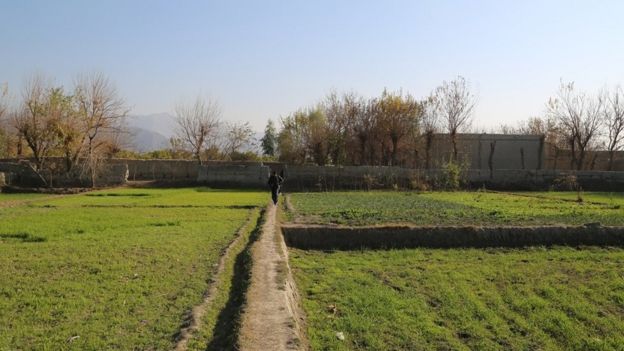 ولسوالی خیوه