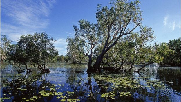 Kakadu National Park