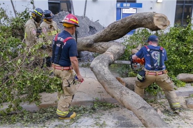 Firefighters with Miami Fire Rescue saw up one of the scores of fallen trees off Brickell Avenue after Hurricane Irma struck in Miami, Florida, 11 September