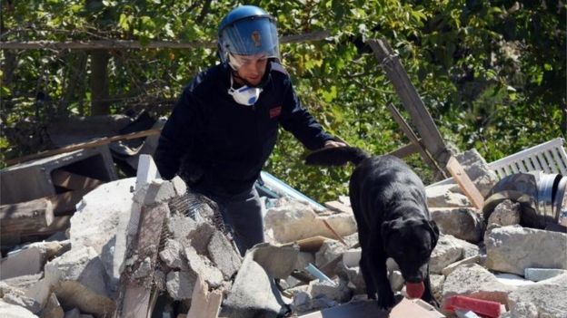 Un policÃ­a un su perro buscan entre los escombros.