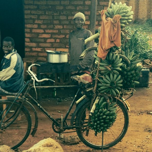 Bananas on a bicycle