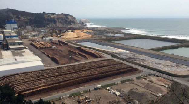 Vista de Celco, planta productora de celulosa.