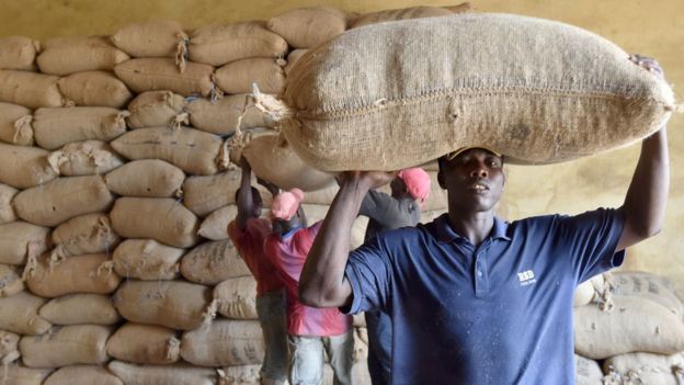 Man carry sack of cocoa beans