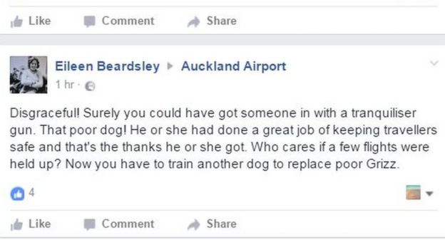 Captura de pantalla de comentarios de ira en la página del aeropuerto de Auckland.