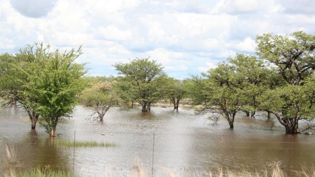 Temporada de monzones en Namibia