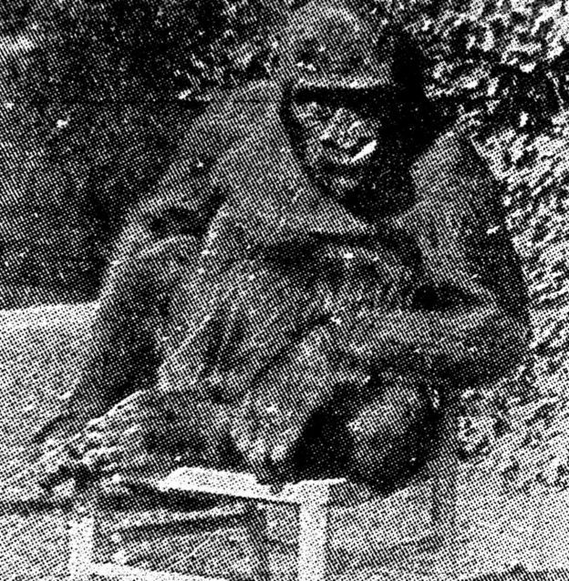 O gorila de Uley
