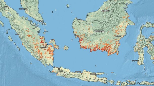 Map from Nasa's satellites showing forest fires in Indonesia from 9 to 16 September