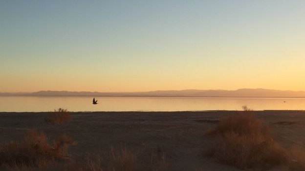 Salton Sea, California