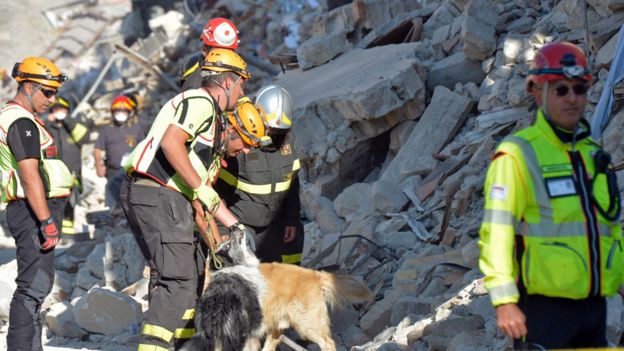 Tareas de rescate con bomberos y un perro en Amatrice