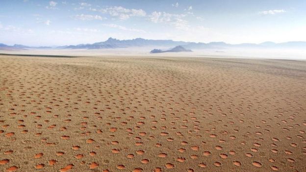 Círculos de hadas, Namibia