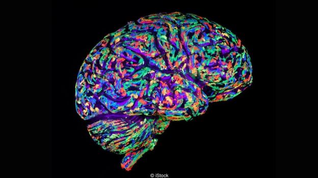 Lancaster's team's mini brains have two million neurons - half that of a mouse