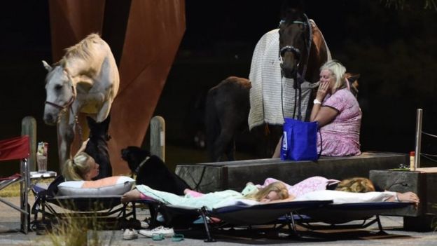 A woman tends to horses as children sleep on fold-out beds on the main street of Lorne. Photo: 25 December 2015
